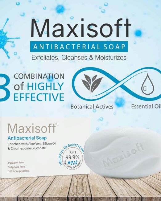 Maxisoft Antibacterial Sanitizing Soap 03