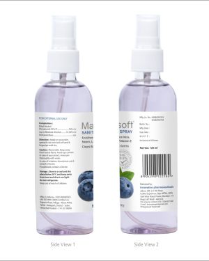 Maxisoft Hand Sanitizer Spray Blueberry 120 ml