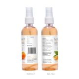 Maxisoft Hand Sanitizer Spray Refreshing Orange 120 ml